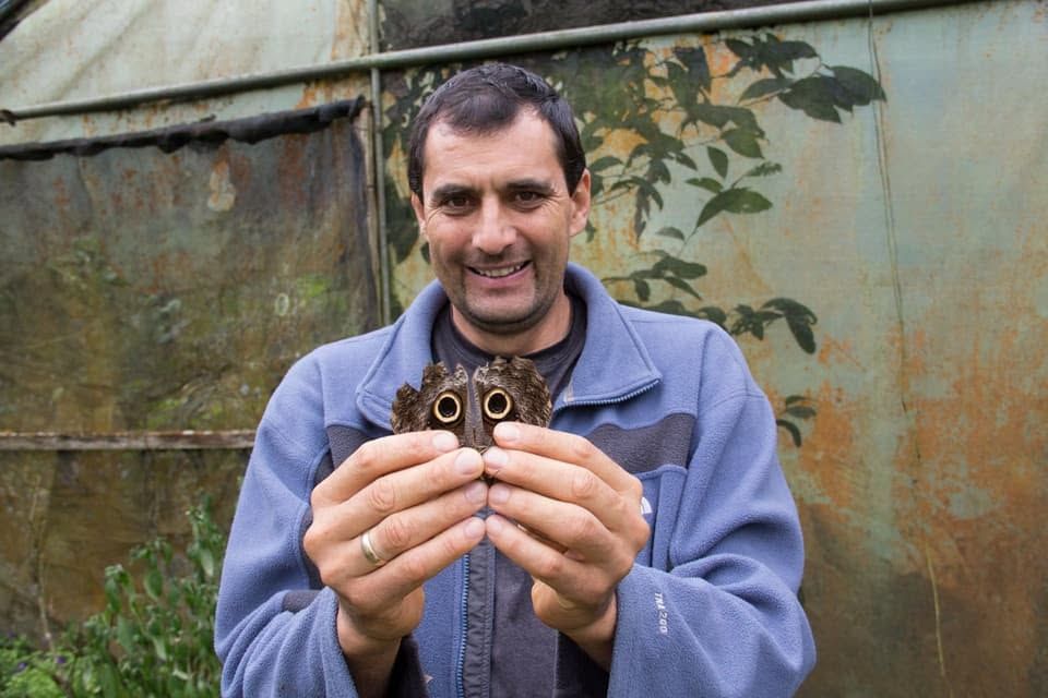Guía mostrando una mariposa durante una visita